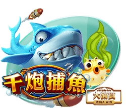 私密视频播放器免费版