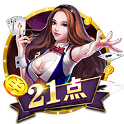 私密视频播放器桌面版客户端