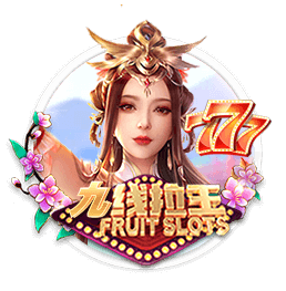 私密视频播放器桌面版客户端
